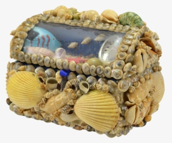 Natural Seashell Treasure Box - Cake Decorating, HD Png Download, Transparent PNG