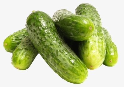 Pile Of Cucumbers - Cucumber Pickling Png, Transparent Png, Transparent PNG