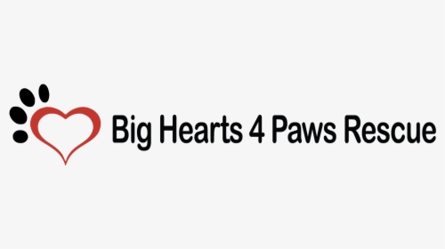 Big Hearts 4 Paws Rescue - Calligraphy, HD Png Download, Transparent PNG