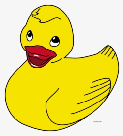 Duck, HD Png Download, Transparent PNG