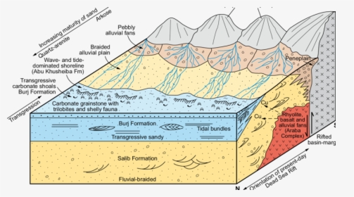 Diagram, HD Png Download, Transparent PNG