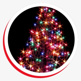 Christmas Tree Outdoor Decorated, HD Png Download, Transparent PNG