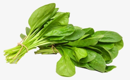 Spinach Png Free Image - Palak Vegetable, Transparent Png, Transparent PNG