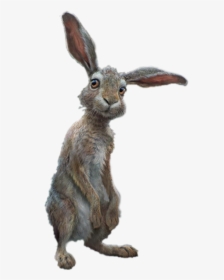 #conejo #rabbit - Brown Hare, HD Png Download, Transparent PNG