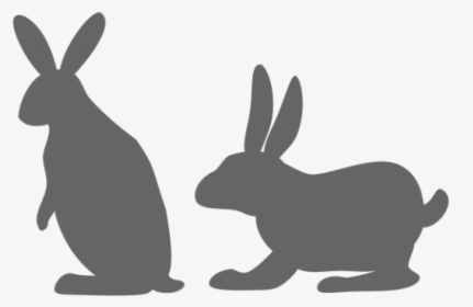 Rabbit Image Vector Example Image - Hare, HD Png Download, Transparent PNG