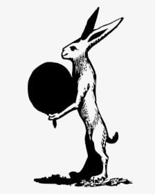 Hare Clipart, HD Png Download, Transparent PNG