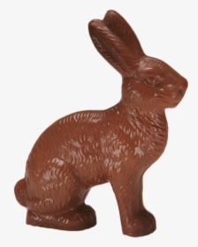 Chocolate Jack Rabbit Large - Domestic Rabbit, HD Png Download, Transparent PNG