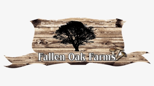 Logo Design By Merchand27 For This Project - Oak, HD Png Download, Transparent PNG