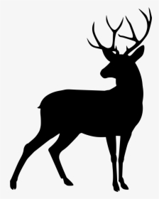 Deer Silhouette, HD Png Download, Transparent PNG