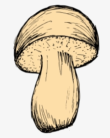 Mushroom Drawing 3 - Mushroom, HD Png Download, Transparent PNG