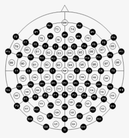 128 Channel Eeg Cap, HD Png Download, Transparent PNG
