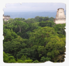 Maya Guatemala, HD Png Download, Transparent PNG
