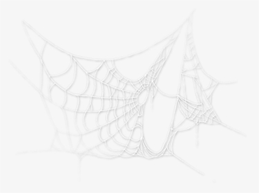 #spider #spiderweb #cobweb #spooky #halloween, HD Png Download, Transparent PNG