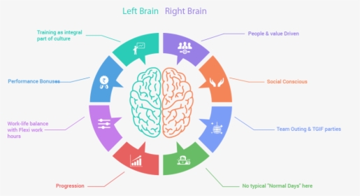 Left Hand Left Brain The Plot Thickens Dana Foundation - Right Brain Clipart Transparent, HD Png Download, Transparent PNG