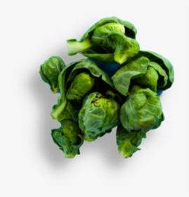 Brussels Sprout, HD Png Download, Transparent PNG