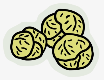 Vector Illustration Of Brussels Sprouts Small Cabbage - Xiaochi, HD Png Download, Transparent PNG