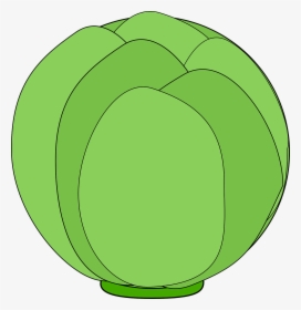 Cabbage, HD Png Download, Transparent PNG