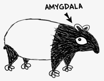 Amygdalatapir - New World Porcupine, HD Png Download, Transparent PNG