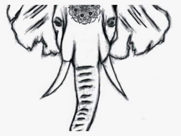 Drawn Profile Tumblr Transparent - Elephant Drawing Easy, HD Png Download, Transparent PNG