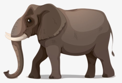 African Elephant Cartoon Illustration - Boy Riding An Elephant Clipart, HD Png Download, Transparent PNG