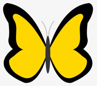 Butterfly 26 Color Colour Gold 1 Peace Xochi - Butterfly Clipart, HD Png Download, Transparent PNG