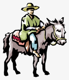 Vector Illustration Of Coffee Picker Jaun Valdez On - Man On A Mule Clipart, HD Png Download, Transparent PNG