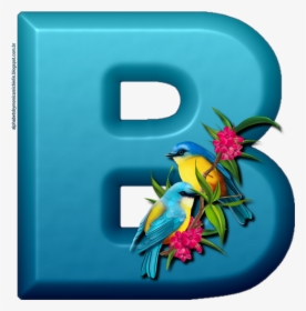 Alphabet, HD Png Download, Transparent PNG