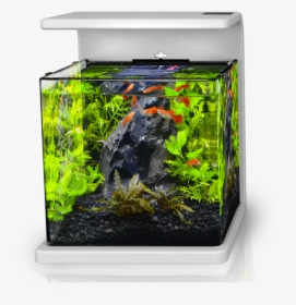 Countertop, HD Png Download, Transparent PNG