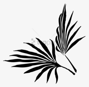 Free Png Palm Leaf Silhouette Vector Png Images Transparent - Tropical Leaf Clipart Black And White, Png Download, Transparent PNG