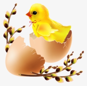 Transparent Easter Egg Water Bird Egg For Easter - Duck, HD Png Download, Transparent PNG