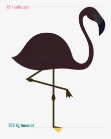 Jauge Offre Ind - Funny Flamingo Quotes, HD Png Download, Transparent PNG