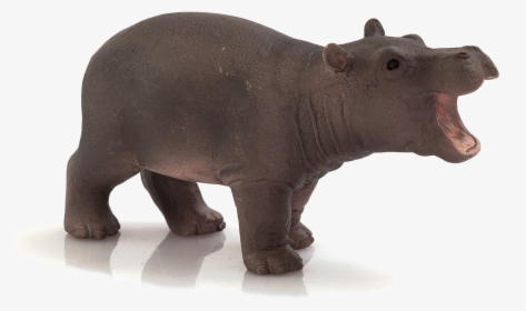 Animal Planet Baby Hippopotamus - Mojo Hippo, HD Png Download, Transparent PNG