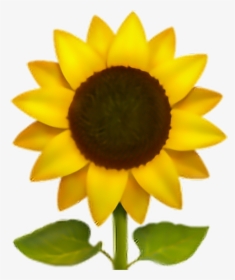 Transparent Sunflower Emoji, HD Png Download, Transparent PNG