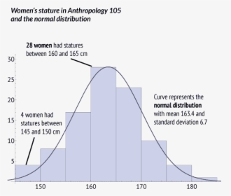 Histogram Of Heights Of Women, HD Png Download, Transparent PNG