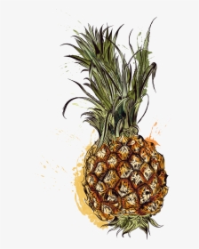 Pineapple Tropic Fruits - Vector Graphics, HD Png Download, Transparent PNG
