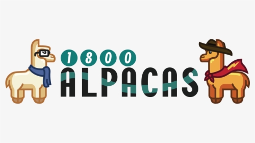 1800 Alpacas - Graphic Design, HD Png Download, Transparent PNG