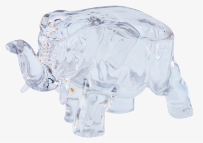 Rhinoceros, HD Png Download, Transparent PNG