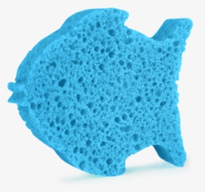 Sponge Fish, HD Png Download, Transparent PNG