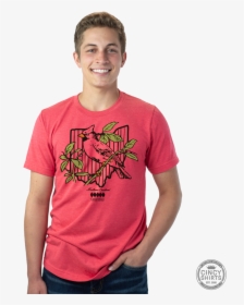 Reindeer, HD Png Download, Transparent PNG