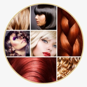 Différentes Couleurs De Cheveux, HD Png Download, Transparent PNG
