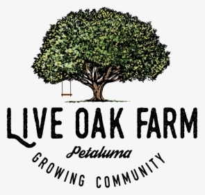 Live Oak Farm Growing Color - Text, HD Png Download, Transparent PNG