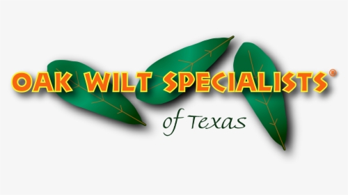 Oak Wilt Specialists Of Texas Log - Graphic Design, HD Png Download, Transparent PNG