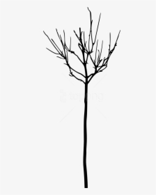 Free Png Simple Bare Tree Silhouette Png Images Transparent - Tree, Png Download, Transparent PNG