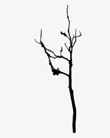 Free Png Bare Tree Silhouette Png Images Transparent - Silhouette, Png Download, Transparent PNG