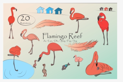 Flamingo Reef- Cute Flamingo S Clipart Example Image - Greater Flamingo, HD Png Download, Transparent PNG
