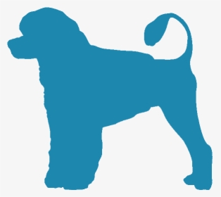 Portuguese Water Dog - Dog Catches Something, HD Png Download, Transparent PNG