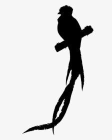 Make A Silhouette, HD Png Download, Transparent PNG