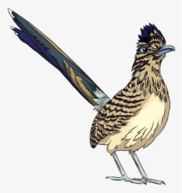 Roadrunner, HD Png Download, Transparent PNG