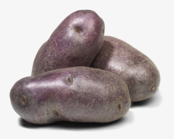 Pommes De Terre Violettes - Fingerling Potato, HD Png Download, Transparent PNG