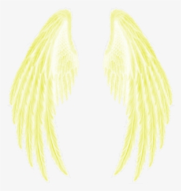 #yellow #gold #golden #wings #feather - Angel Wings With White Background, HD Png Download, Transparent PNG